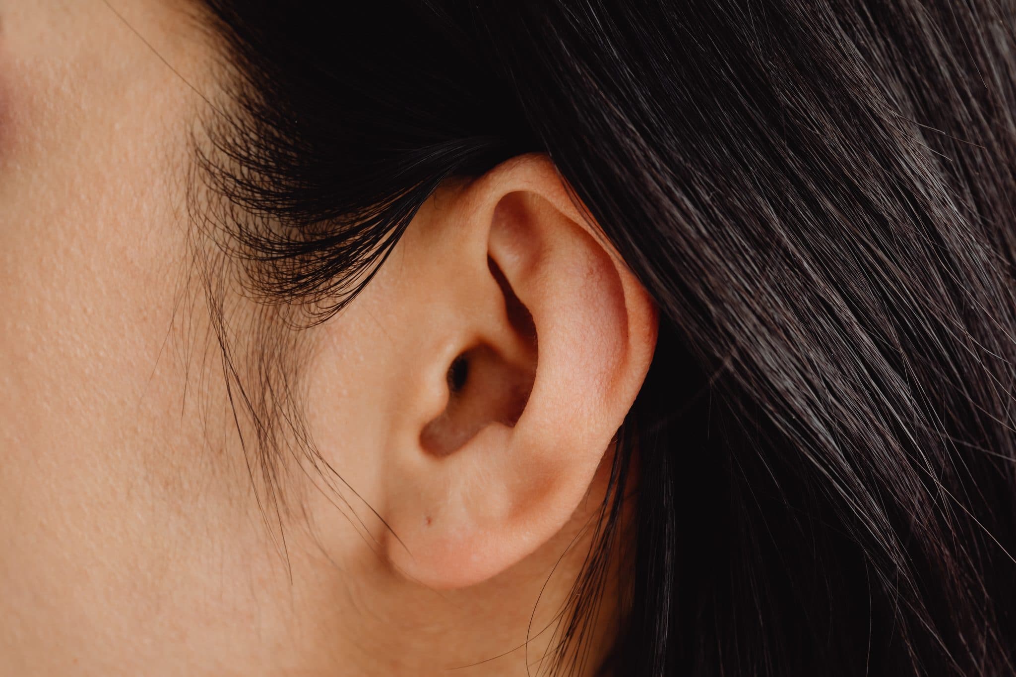 Close up of ear.